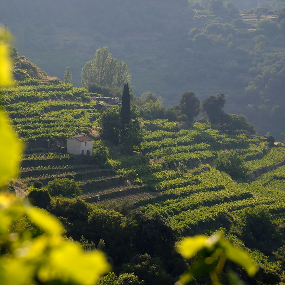 Φύση & Τοπία