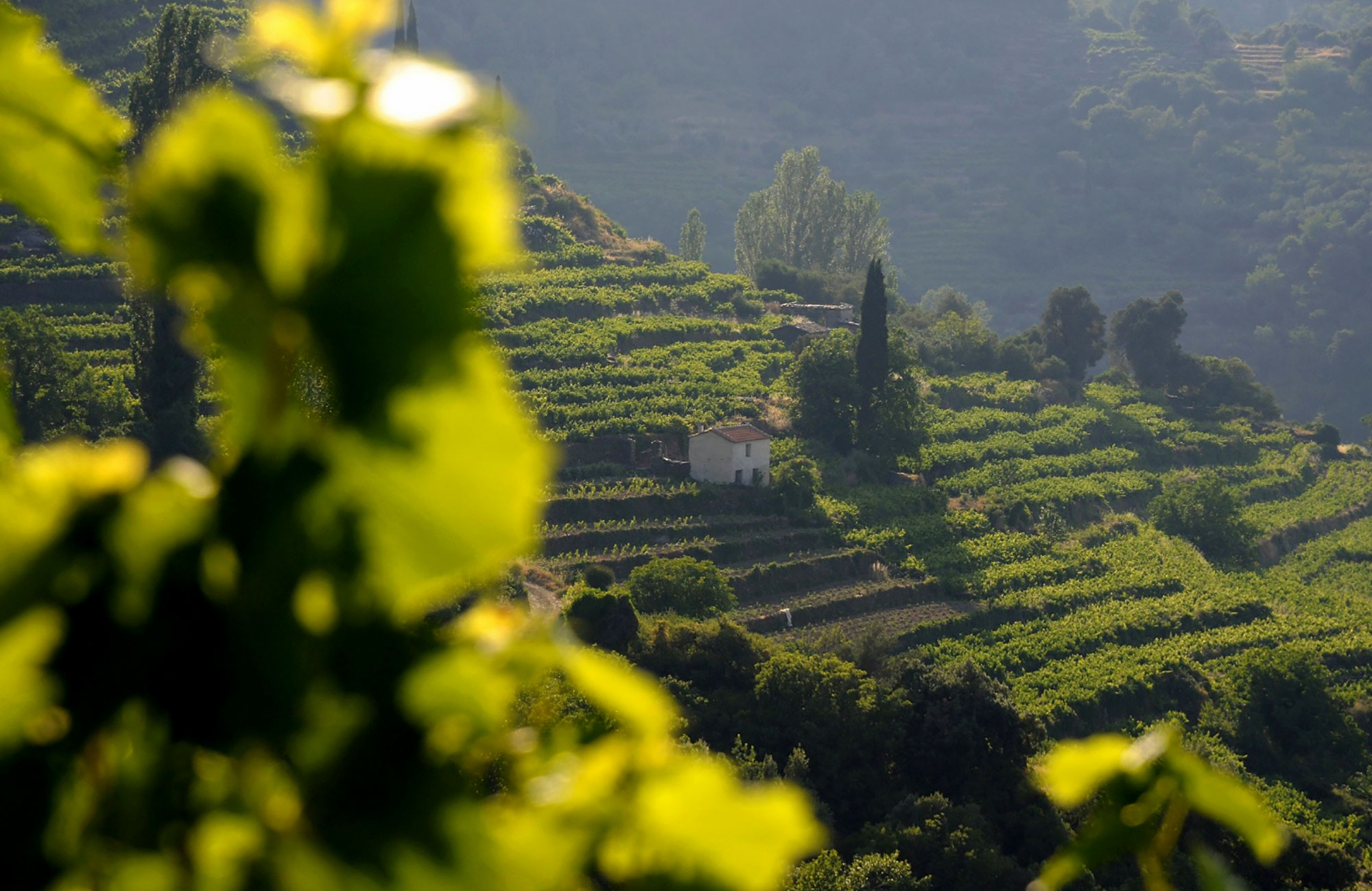 Φύση & Τοπία